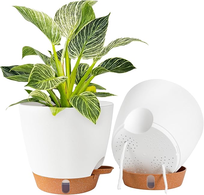 2 Pack 8 Inch Pots for Plants Indoor, Plastic Self Watering Planters by Fielda
