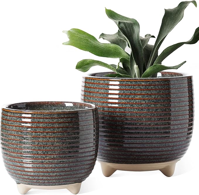 LE TAUCI Ceramic Plant Pots, 5.1 + 6.4 Inch Footed Pots by LETAUCI