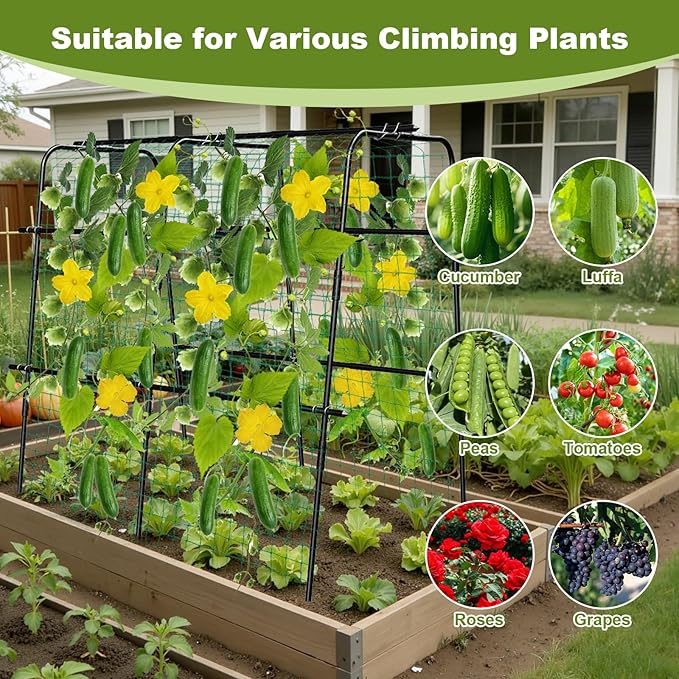 Cucumber Trellis for Raised Bed, 63 Inch A-Frame Garden Trellis for Climbing - Image 6