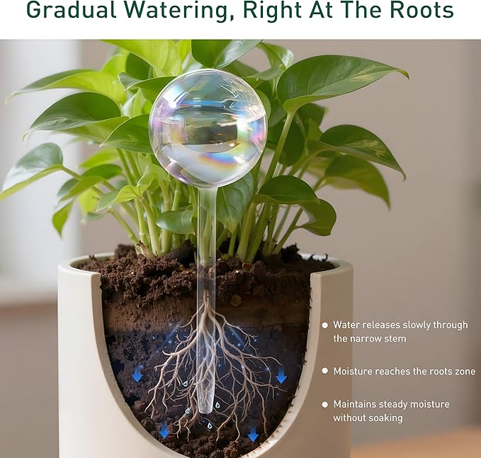 Large Extra-Thick Clear Glass Plant Watering Globes, Rainbow Gradient Self - Image 7