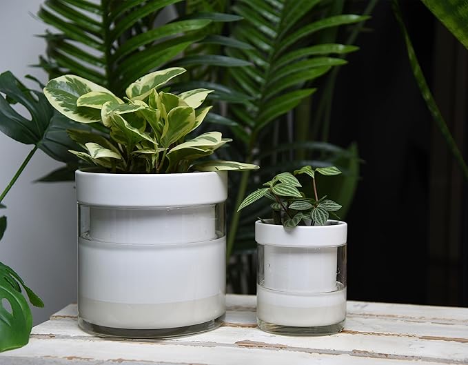 Phoenix Vine 6 Inch 4 Inch Self Watering Planter - Image 5