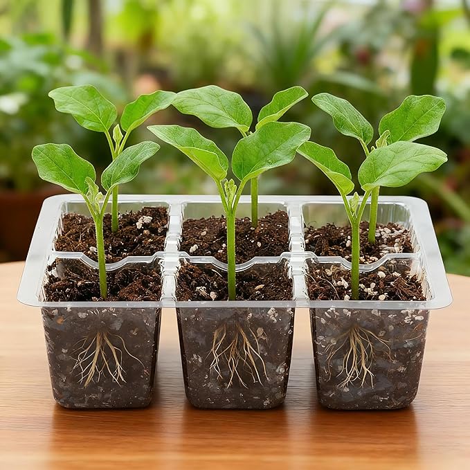 Bonviee 10 Packs Seed Starter Tray - Image 7