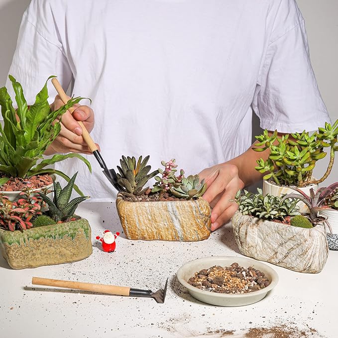 T4U 5.5 Inch Ceramic Succulent Pot Planter - Image 3