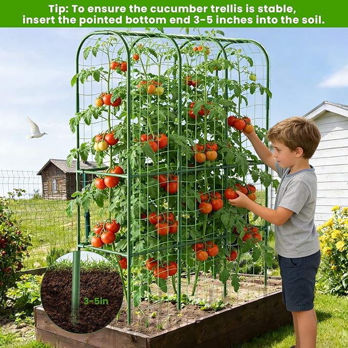 2 Pack 65in Tall Cucumber Trellis - Image 5