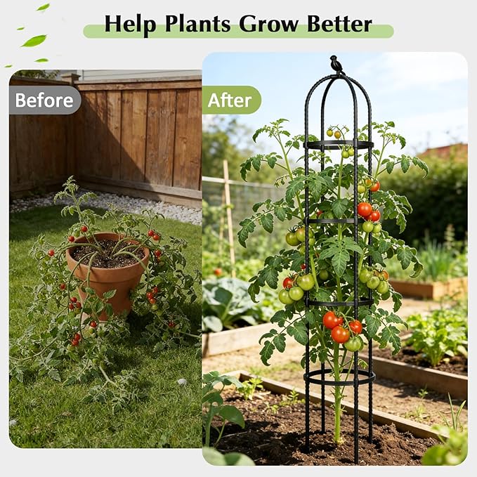 Obelisk Trellis for Climbing Plants Outdoor, 6.2 FT Plant Support for Tomato - Image 6