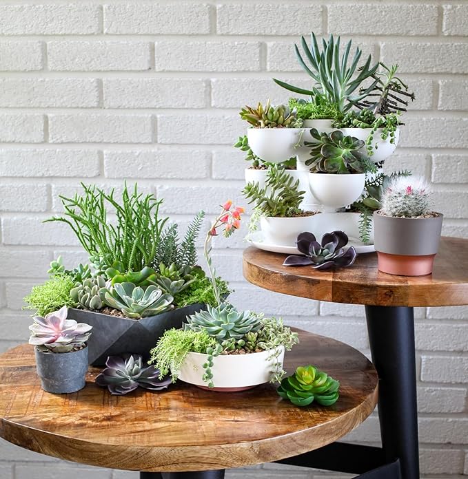 The HC Companies 8 Inch Round Plastic Succulent Capri Bowl 8"x8"x3" in Faux - Image 2