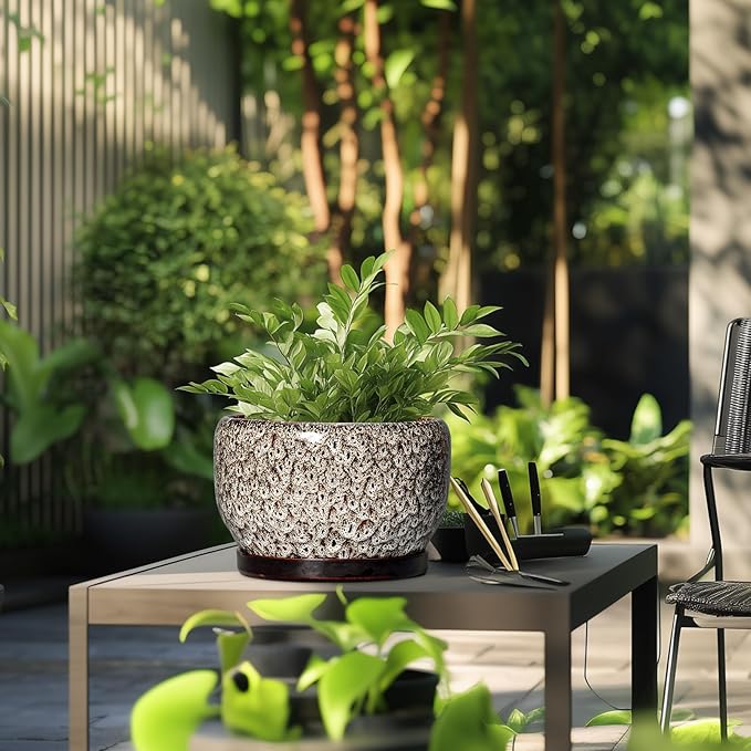 SQOWL Ceramic Plant Pots - Image 5