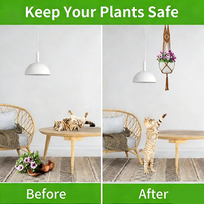 Macrame Plant Hangers - Image 5