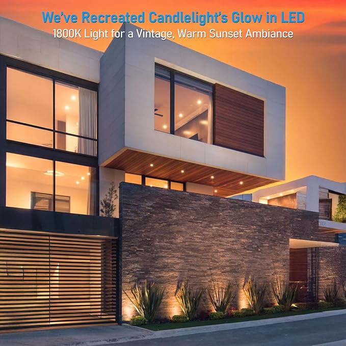 LEONLITE Dia. 4 Inch Well Lights Landscape LED In Ground, Grated Top, 5 Color - Image 2
