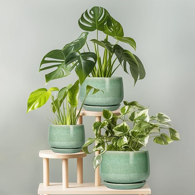G EPGardening Ceramic Planter - Image 7