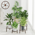 5 PackHeavy Duty Rack for Planter, Anti-Rust Flower Pot Stand Holder for by Unknown