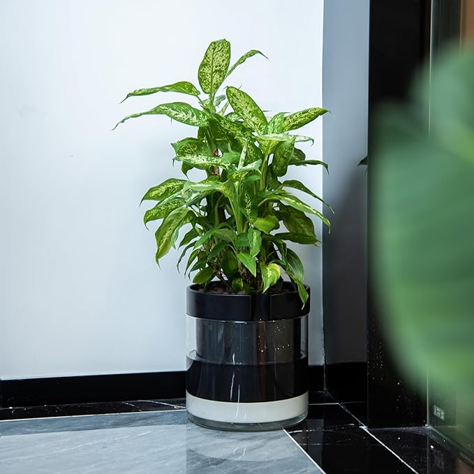Phoenix Vine 10 Inch Self Watering Terracotta Planter - Image 6