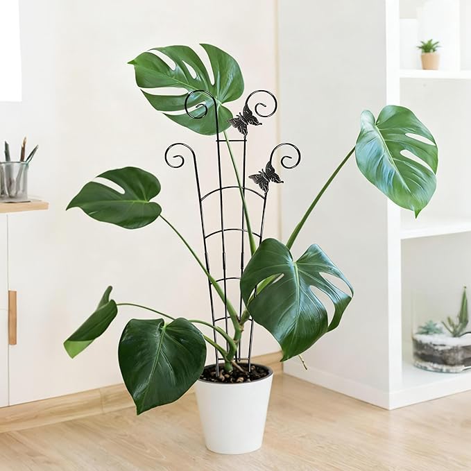 30'' Larger Plant Trellis Indoor, Expandable Metal Trellis - Image 9