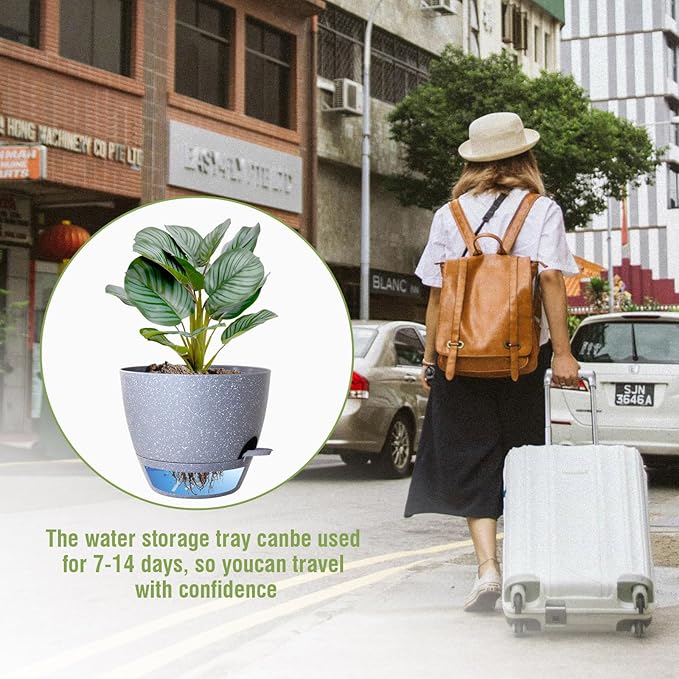 10 inch Self Watering Pots, Plant Pots - Image 6