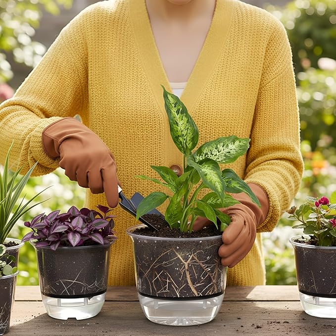 6 Pcs Clear Self Watering Pots for Indoor Outdoor Plants Flowers, 2 Each of 4 - Image 6