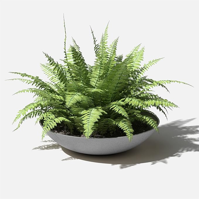 Veradek Mason Series Lane Bowl Planter| - Image 8