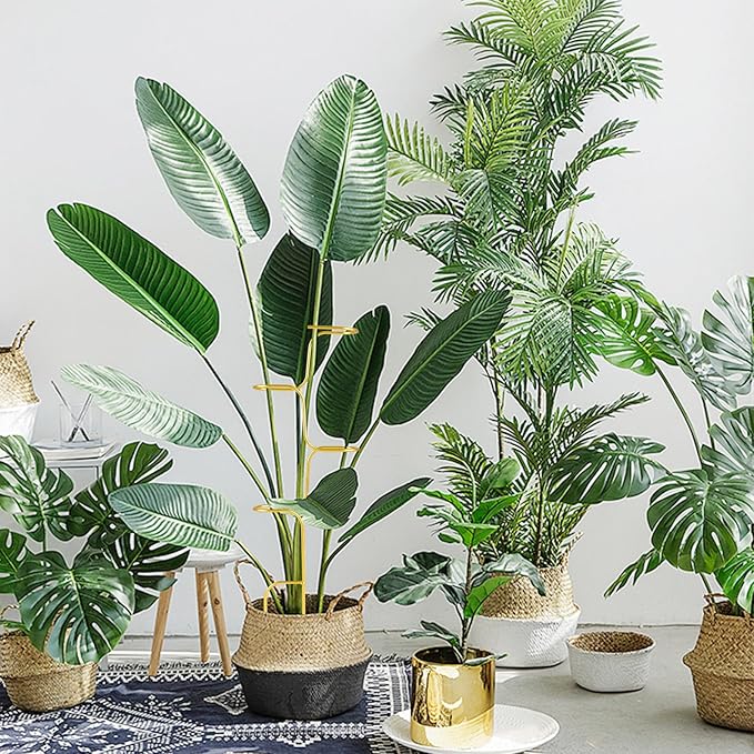 succulentlovers 4PCS Indoor Plant Support Stakes, 12.6 Inch Metal Monstera - Image 3