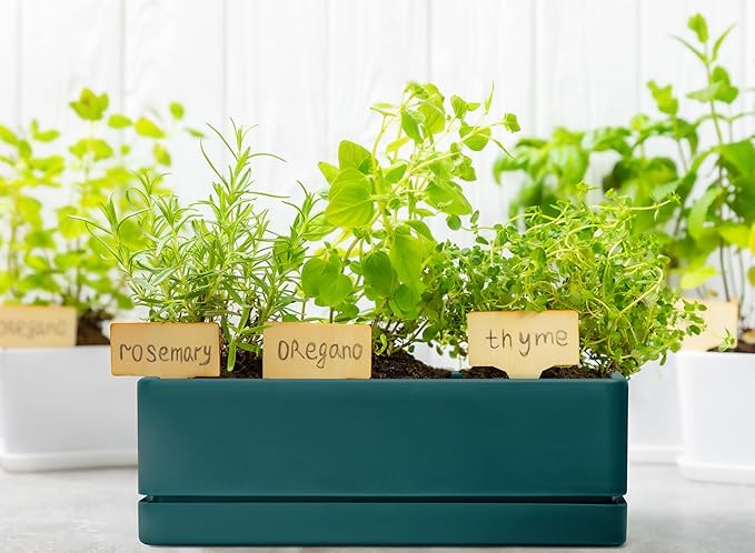 D'vine Dev 12 Inch Window Box Planter, Rectangle Plastic Herb Planter - Image 7
