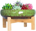 ARTKETTY Succulent Pot, 10 Inch Large Succulent Planter Pot by ARTKETTY