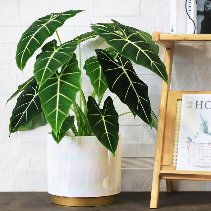 Gepege White Indoor Plant Pots for Plants, Large Ceramic Planter - Image 4