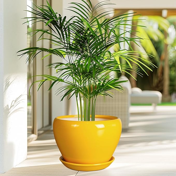 Ceramic Planter - Image 4