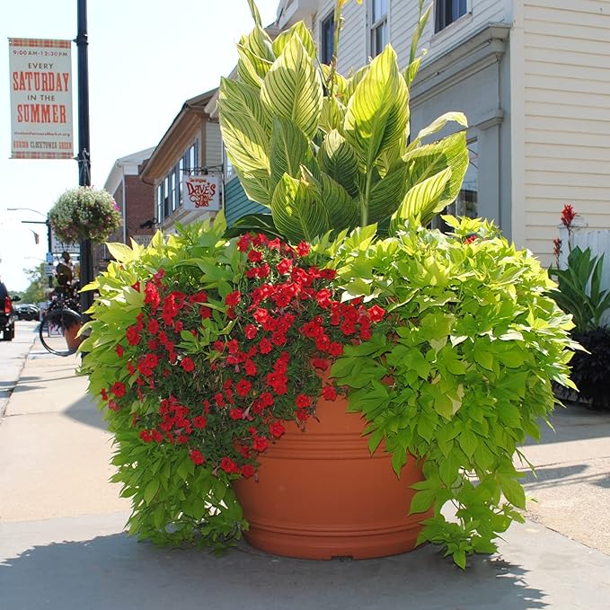 Tusco Products Rolled Rim Garden Planter, Terra Cotta - Image 2