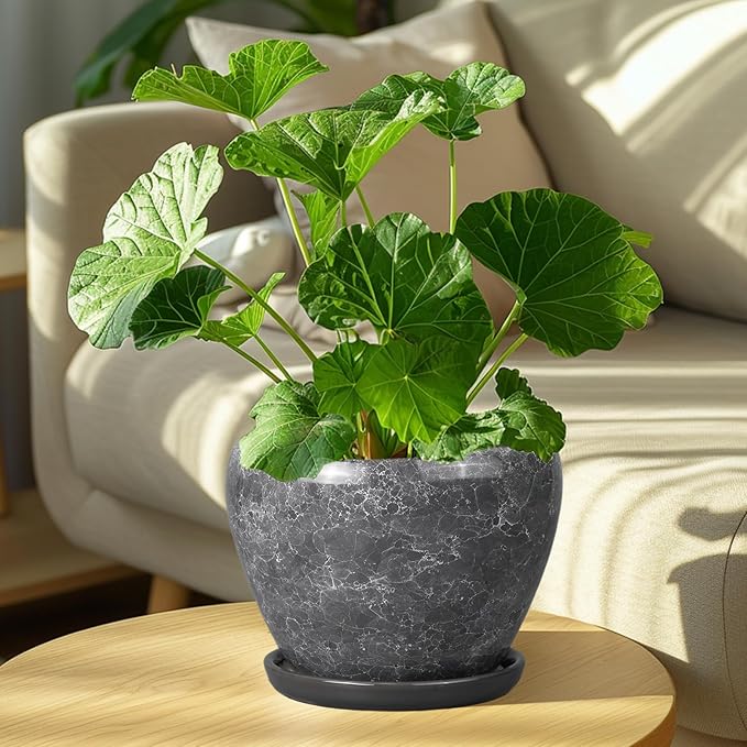 8 Inch Plant Pot - Image 4
