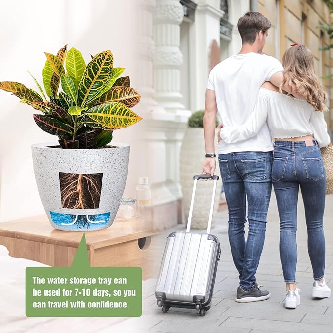 10/9/8 inch Self Watering Pots - Image 7