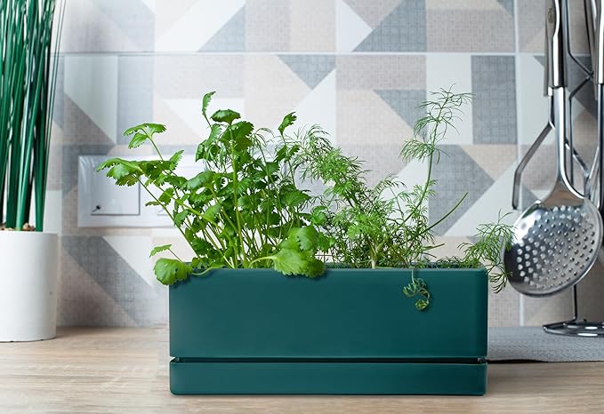D'vine Dev 12 Inch Window Box Planter, Rectangle Plastic Herb Planter - Image 3
