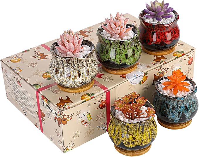 Cute Ceramic Succulent Garden Pots, Planter - Image 8