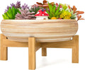 ARTKETTY Succulent Pots by ARTKETTY