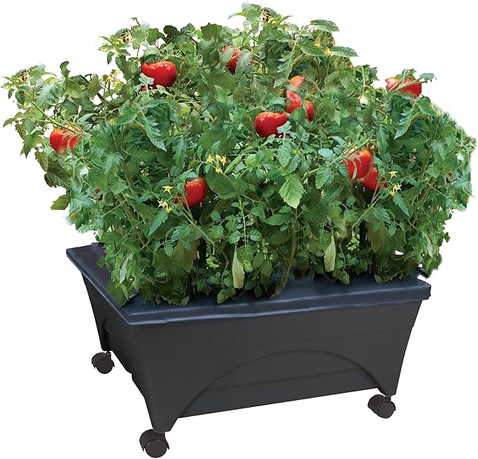 Emsco Group City Picker Raised Bed Grow Box – Self Watering and Improved by Emsco+Group
