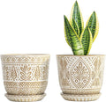 Gepege 6 Inch Ceramic Planter, Birthday by Gepege