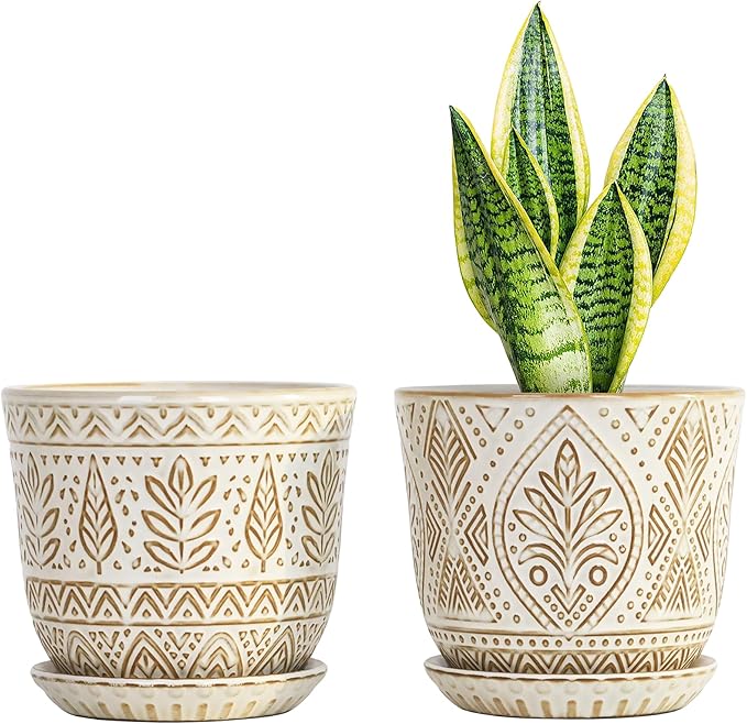 Gepege 6 Inch Ceramic Planter, Birthday by Gepege