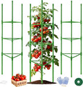 WAENLIR 3-Pack Tomato Cage for Garden, Plant Stakes for Pots, Durable Tomato by WAENLIR