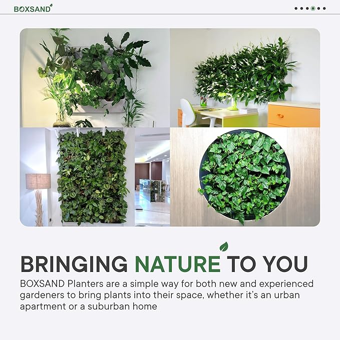 BOXSAND-12 Vertical Wall Planter - Image 8