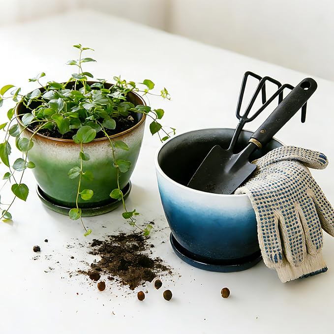 Worth Garden Plastic Round 8" Plant Pots - Image 2
