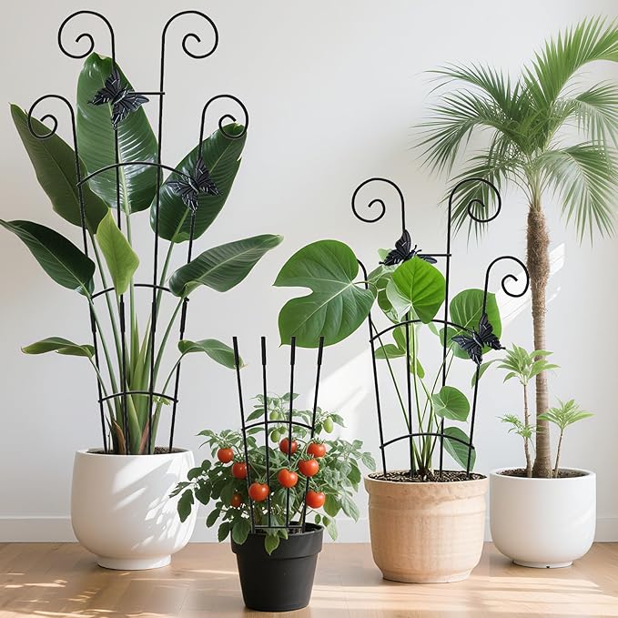 2 Pack 30 Inch Taller Plant Trellis - Image 2