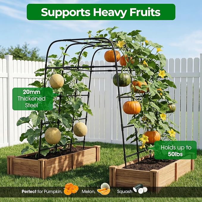 Garden Arch Trellis for Climbing Plants, Metal Cucumber & Tomato Cage, - Image 4