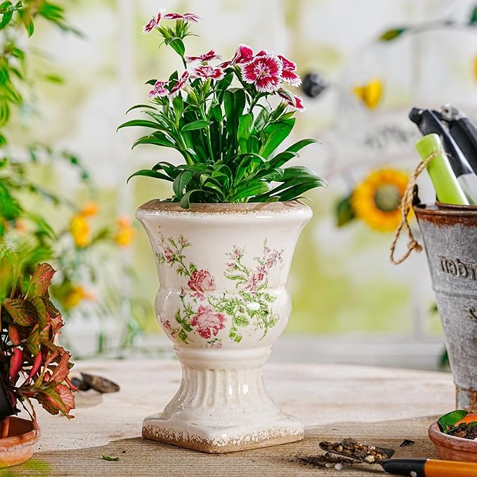 Sungmor Small Ceramic Urn Planter - Image 5