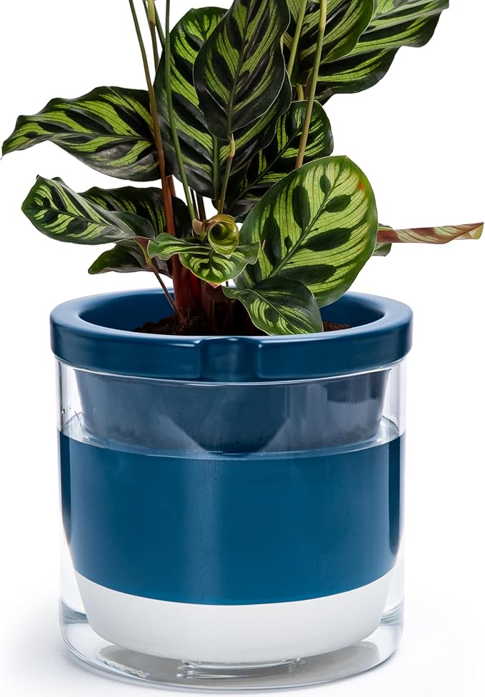 D'vine Dev 8 Inch Design Self Watering Planter by DvineDevPlanterPotsandStand