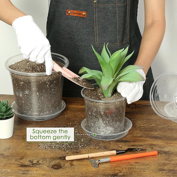 6 Inch Clear Nursery Pots for Plants - Image 4