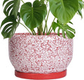 SQOWL Ceramic Planters for Indoor Plants by SQOWL