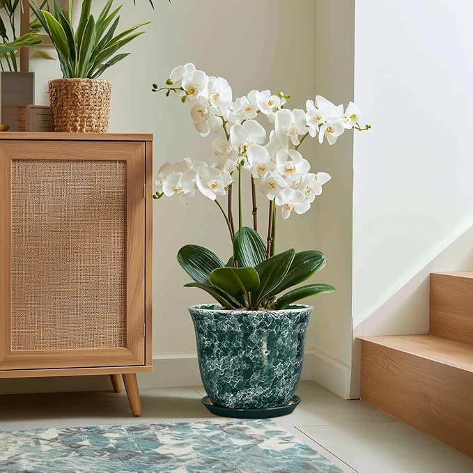 Ceramic Planter - Image 5