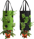 2 Pack Black and Green Upside Down Tomato & Herb Planter, Hanging Durable by Homyhoo
