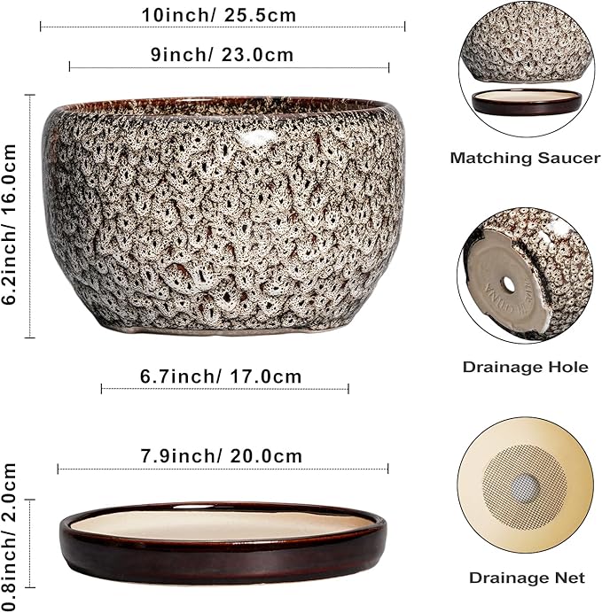 SQOWL Ceramic Plant Pots - Image 3