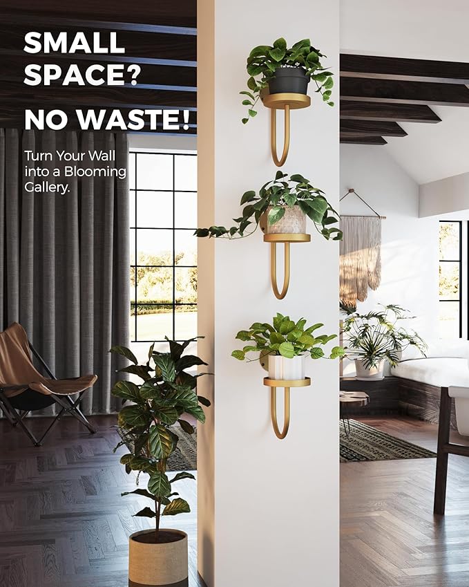 Bamworld Wall Plant Holder Wall Planters - Image 4