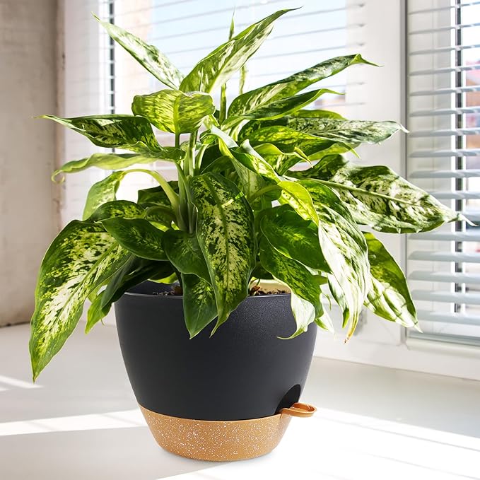 10/9/8 inch Medium Self Watering Pots, Plant Pots - Image 6