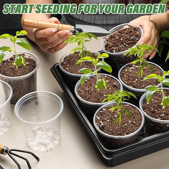 3.5" Clear Seeding Pots 100-Pack Round - Image 7