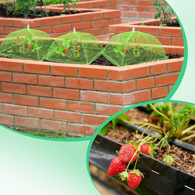 6 Sets Strawberry Plant Support - Image 4
